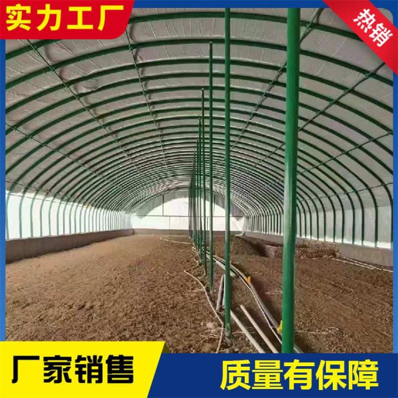 养殖大棚镀锌管包塑养殖棚养牛棚养羊棚养猪棚