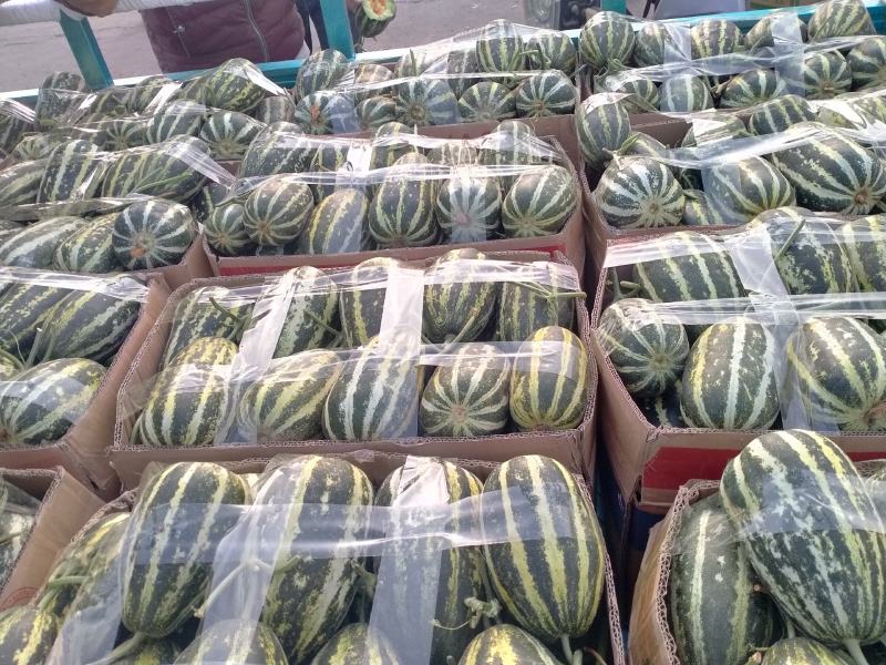 【博洋系列】精品博洋九一甜大量上市现摘现发欢迎采购