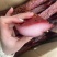 精品A货里脊大块肉大量批发干度好味道巴适五香麻辣