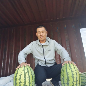 绿皮金城五号西瓜，大红瓤，口感脆，深受市场欢迎