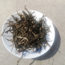 普洱茶