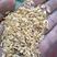 米厂直接供应除尘散装稻壳，二比除尘玉土无尘
