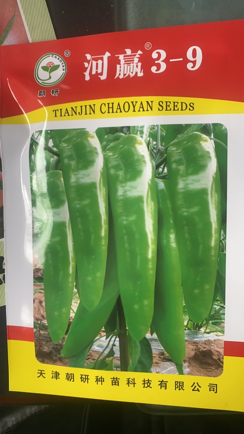 尖椒苗，抗病性强，产量高，尖椒长且粗，味道口感好。