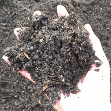 园林绿化工程泥炭土种植土批发无虫卵已消毒