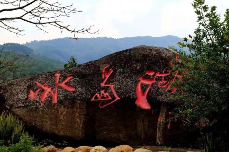 云南大白毫