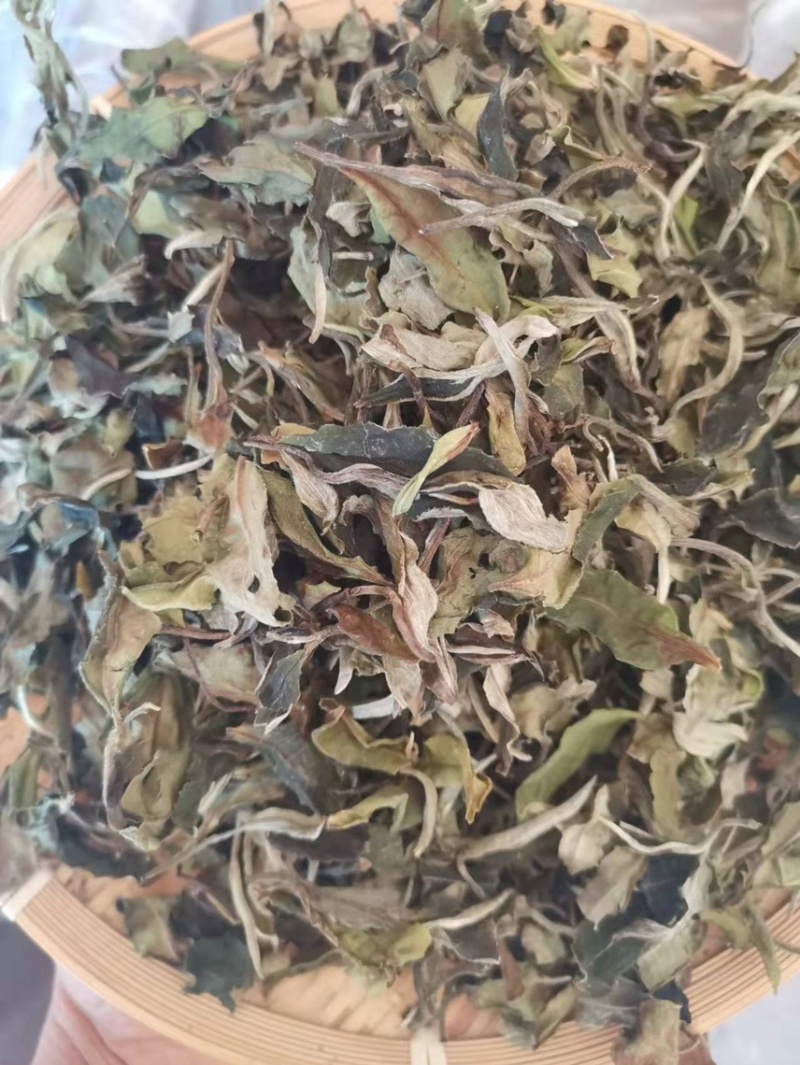 云南大白毫
