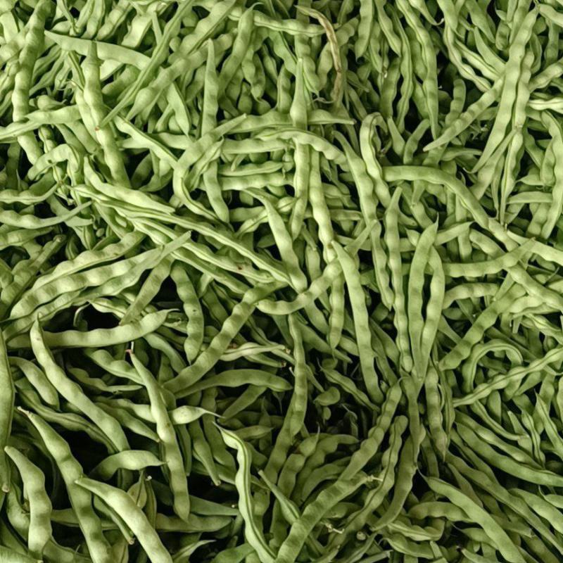 四川夹江（黄瓜）优选品种质量上乘时间长量大