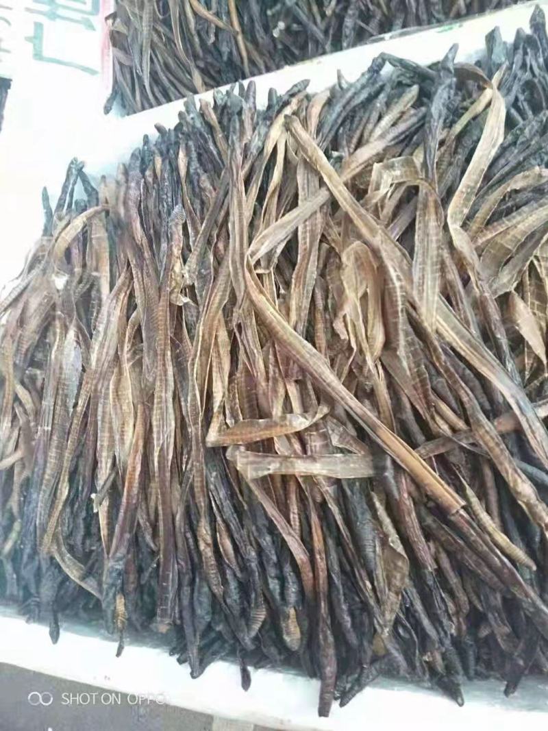 长期大量回收蚯蚓干不分颜色不分大小量小快递代收