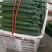 四川夹江（黄瓜）优选品种质量上乘时间长量大