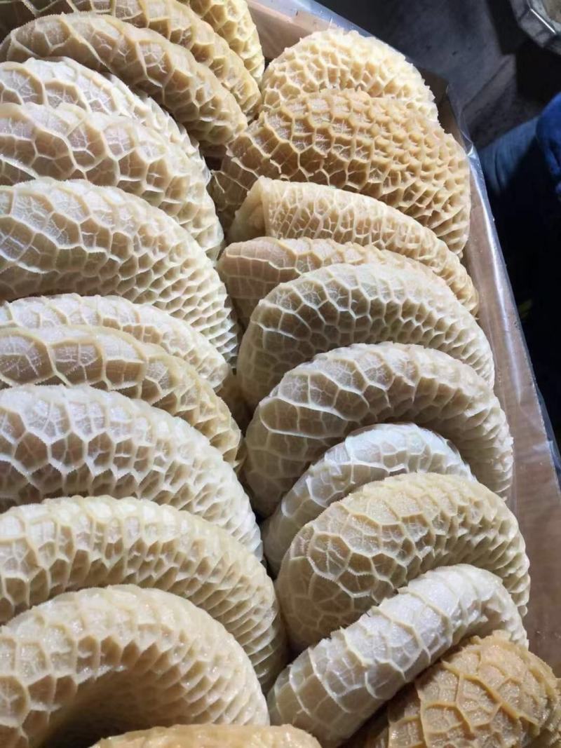 金钱肚，卤，煮，中餐，酒店，卤菜馆！一件40斤！出成高！
