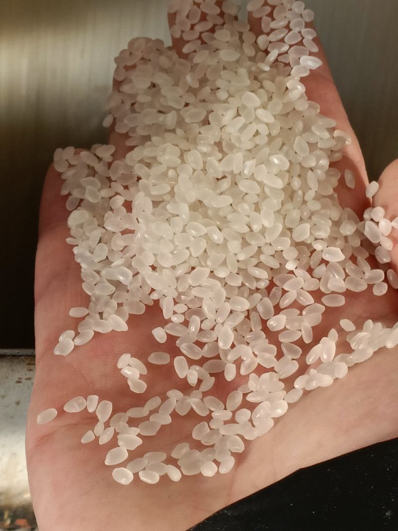 东北珍珠大米