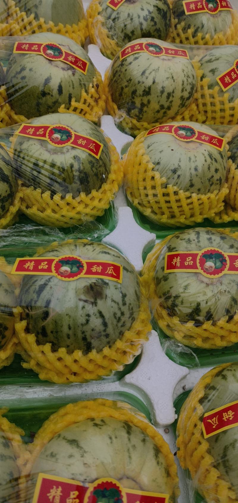 花蕾甜瓜1斤以上通货货源充足货多量大