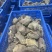 原切谷饲雪花牛肉粒牛腩块牛腩肉新鲜商用无调理红烧牛肉块