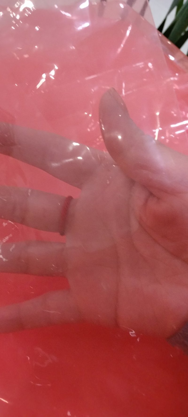 分光生态农用大棚聚能膜，价格优异，欢迎订购。