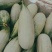 亚州蜜瓜