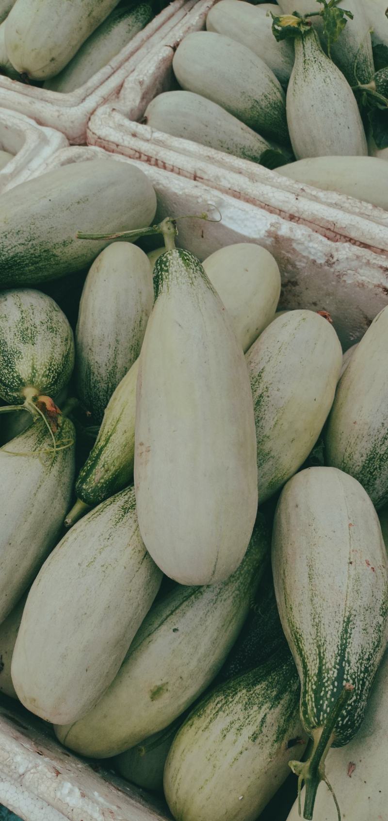 亚州蜜瓜