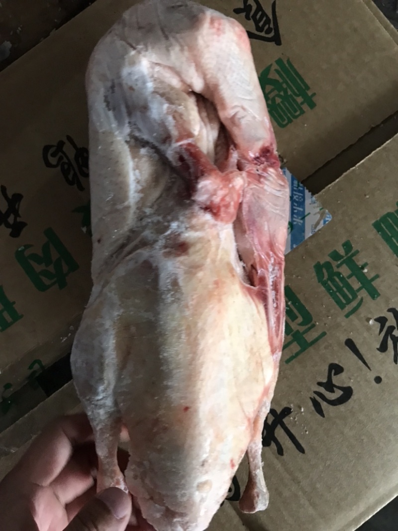 樱桃谷白条鸭，冰鲜速冻白条，冰鲜白条鸭，