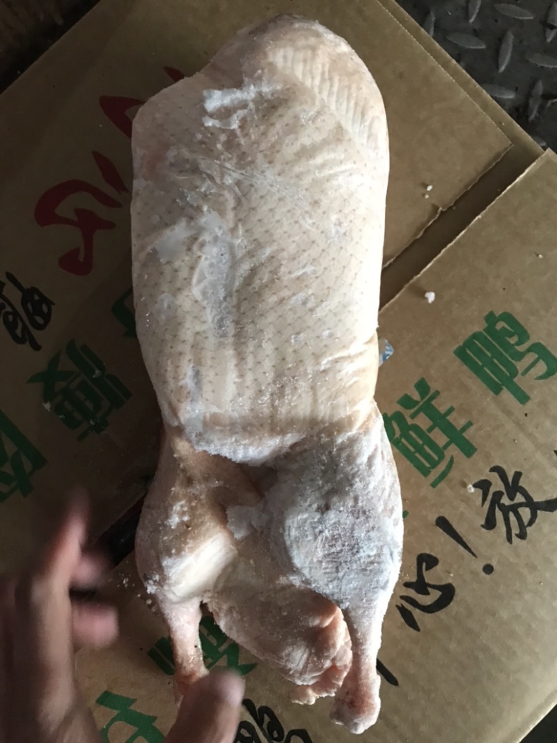 樱桃谷白条鸭，冰鲜速冻白条，冰鲜白条鸭，