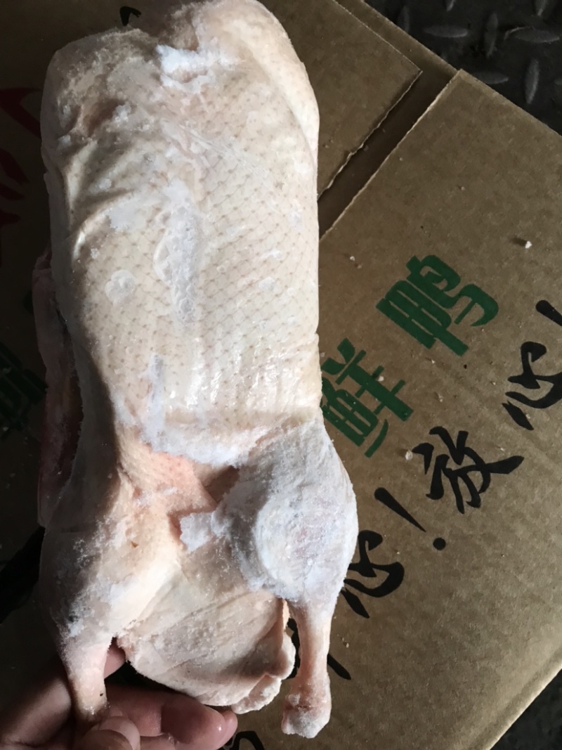 樱桃谷白条鸭，冰鲜速冻白条，冰鲜白条鸭，