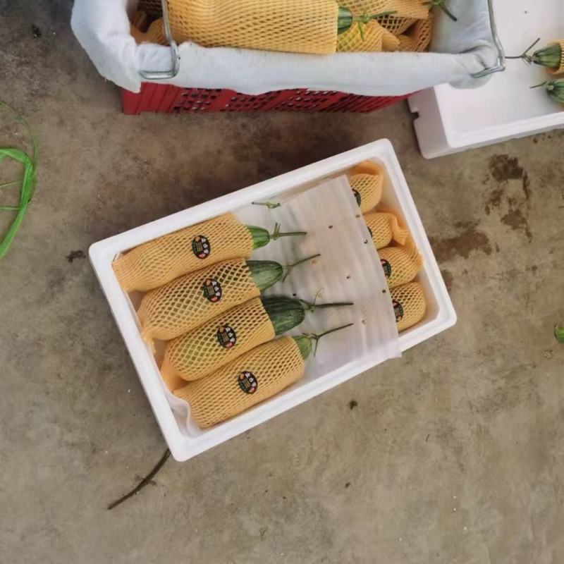 羊角蜜，网红甜瓜，齁甜，产地直发，电商，超市，批发市场。