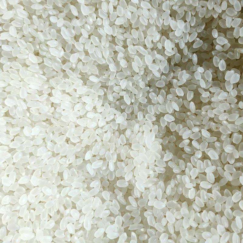 优质大米质大米批发，产地直发，质量保证，欢迎进店