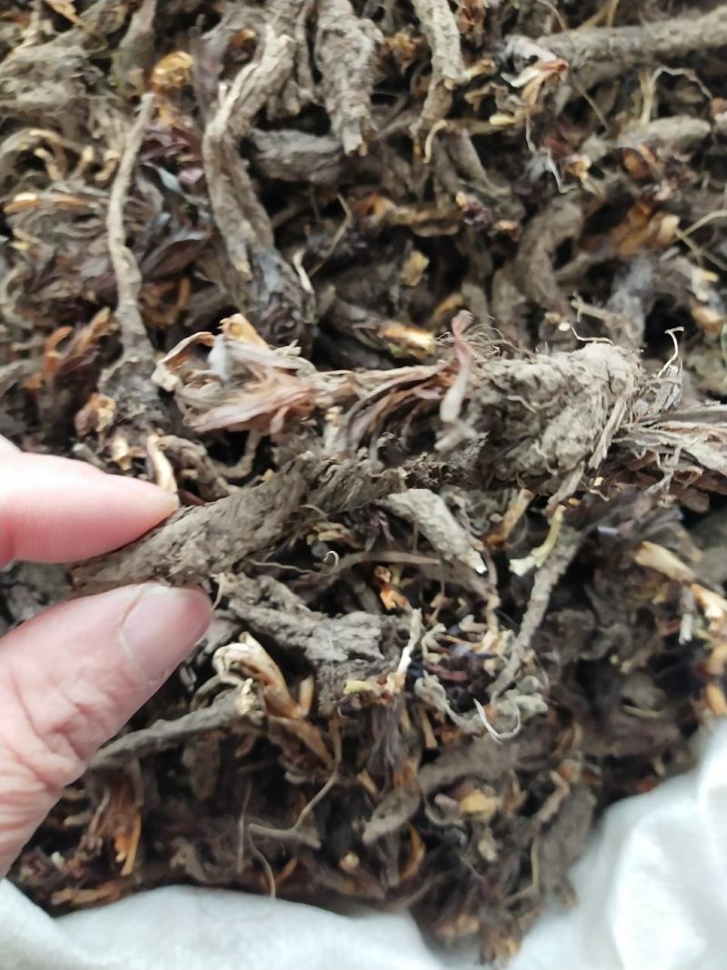 干松，香料大货供应，水洗干松，各种规格，量大从优。