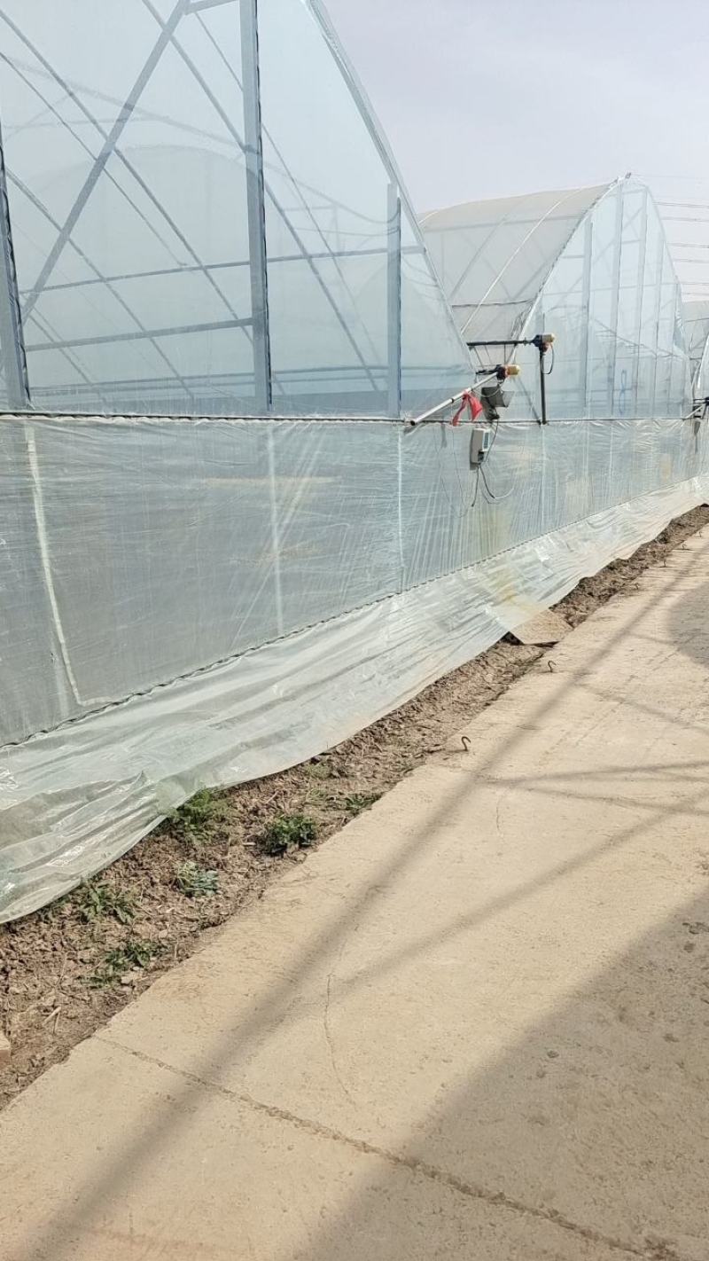 薄膜连栋大棚简易连体棚育苗棚花卉大棚成套大棚厂家直供