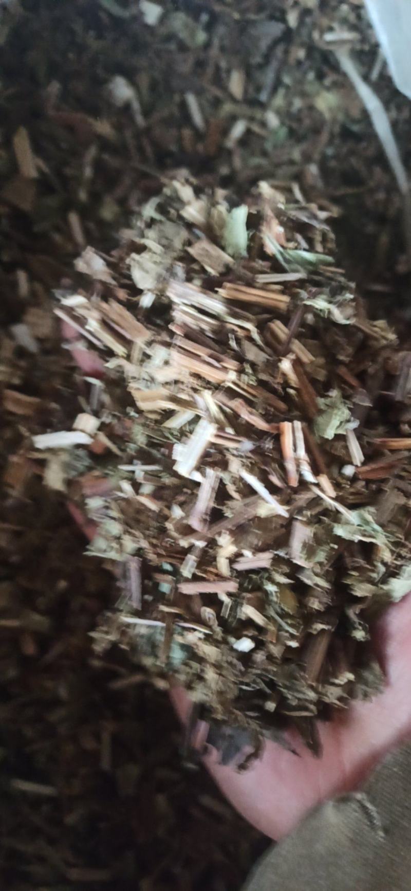 泽兰中药材批发泽兰产地直销质量保证量大从优