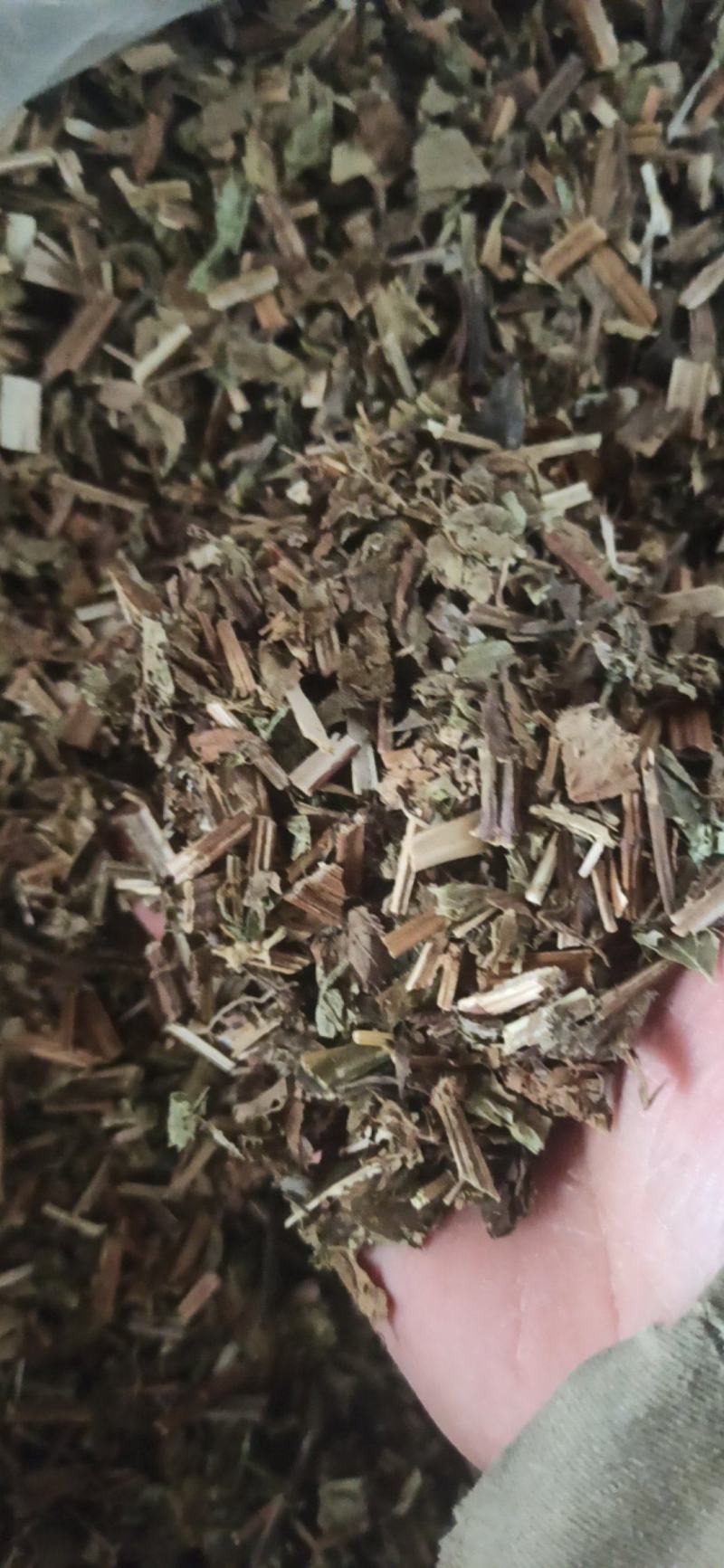 泽兰中药材批发泽兰产地直销质量保证量大从优