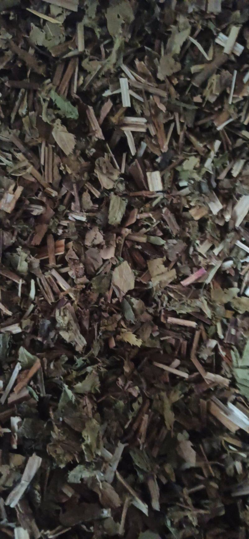 泽兰中药材批发泽兰产地直销质量保证量大从优