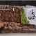 山生有杏，甜杏仁，原味甜杏仁，真空包装，原生态，未加工。