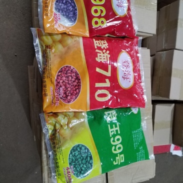 玉米种子正品登海京科968登海710良玉99欢迎平台下单