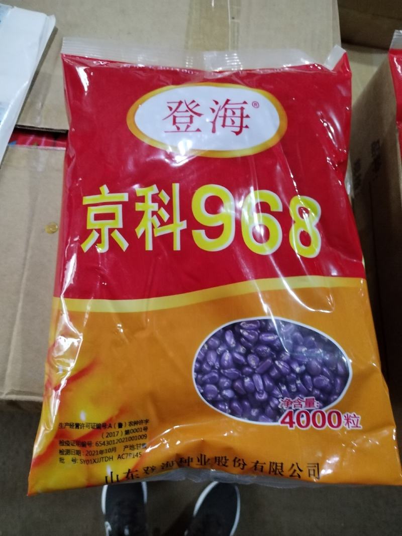 玉米种子正品登海京科968登海710良玉99欢迎平台下单