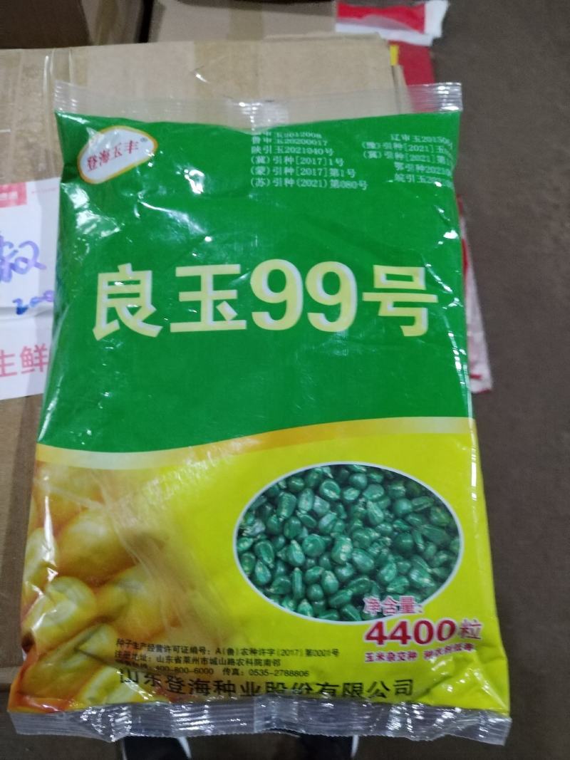 玉米种子正品登海京科968登海710良玉99欢迎平台下单