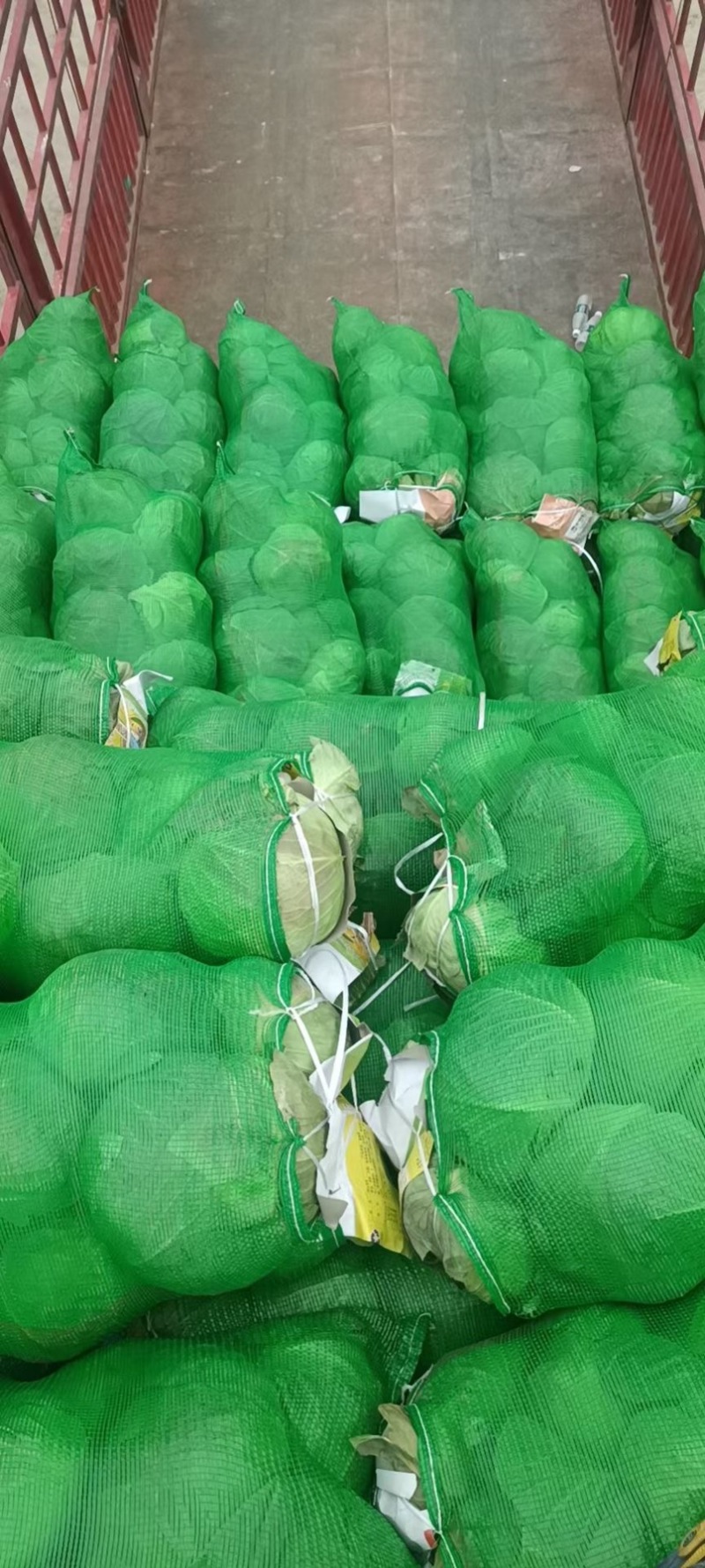 包菜平包扁包奥奇娜大量有货价格优惠货源充足