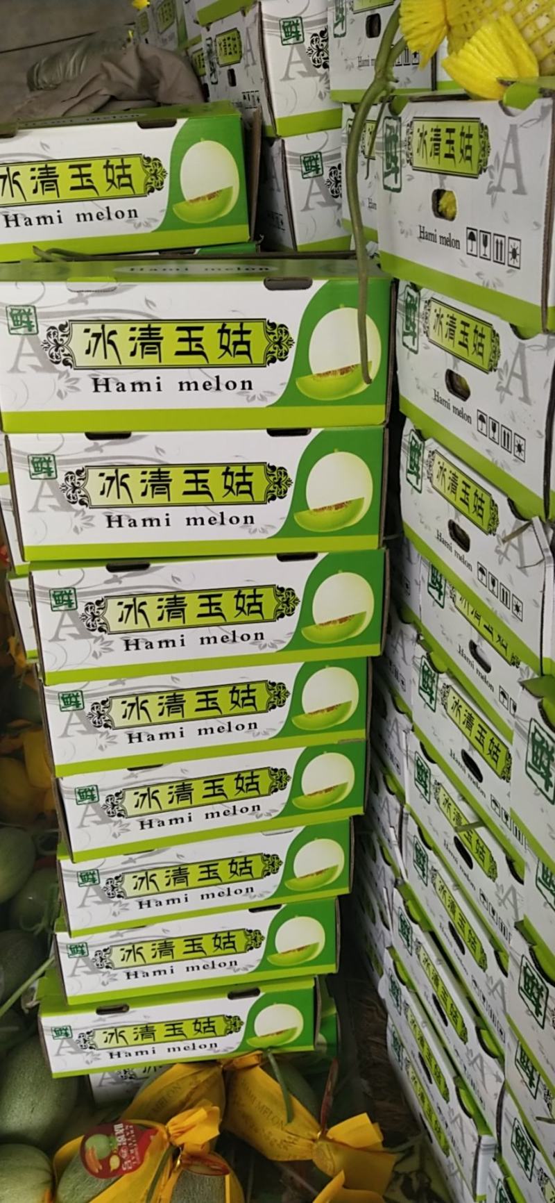 玉姑滑县甜瓜大量上市中，可代发，欢迎新老客户前来洽谈合作