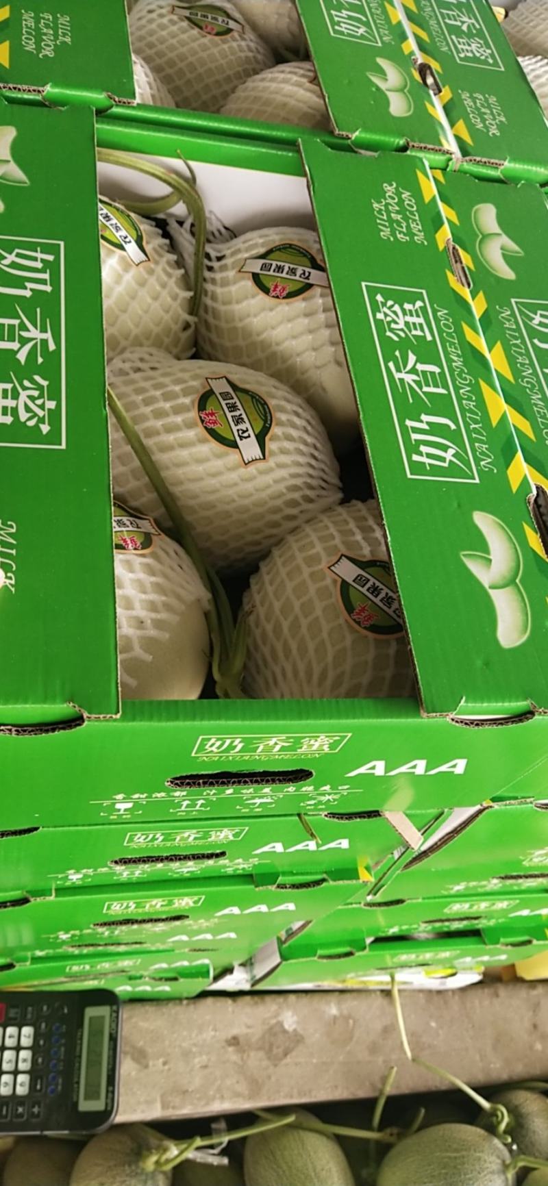 玉姑滑县甜瓜大量上市中，可代发，欢迎新老客户前来洽谈合作