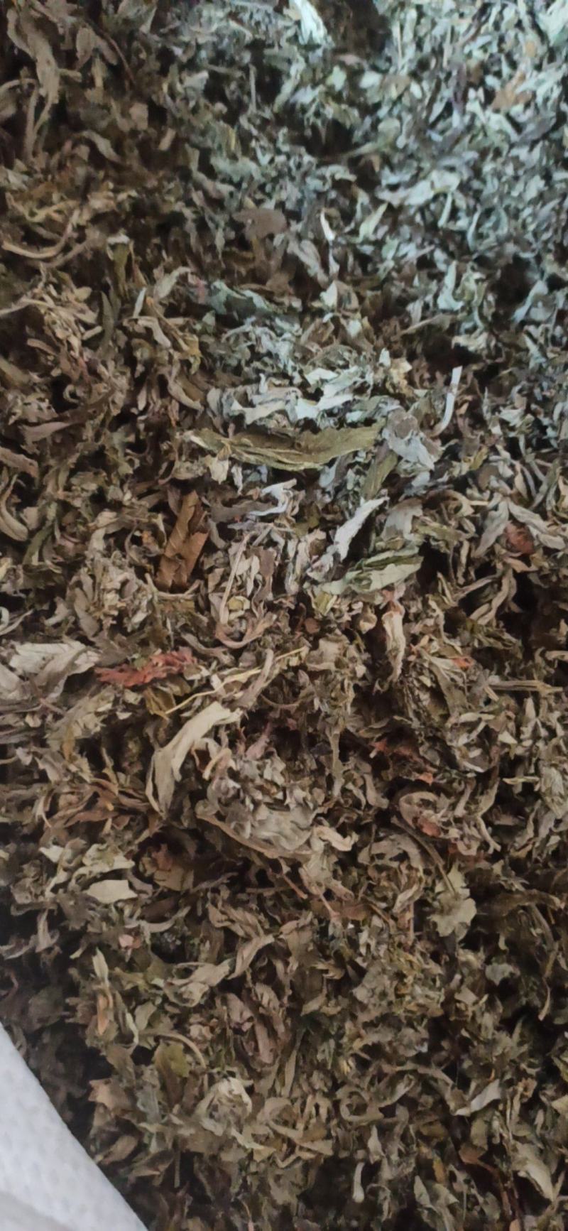艾叶大小艾叶泡脚打粉批发艾叶质量保证
