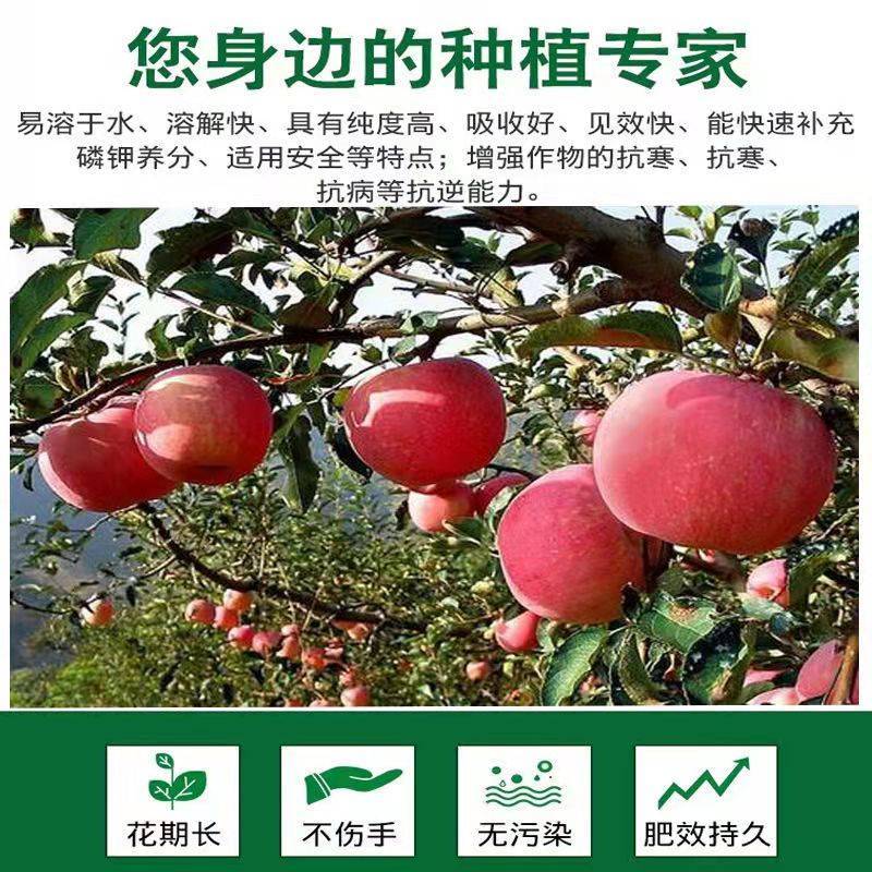磷酸二氢钾叶面肥磷肥钾肥保花保果增大肥大通用型水溶农用肥