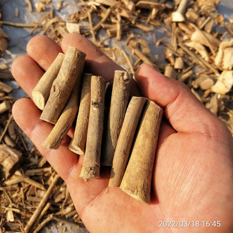 广东本地野生白花牛奶根干货（大量批发，大量批发）