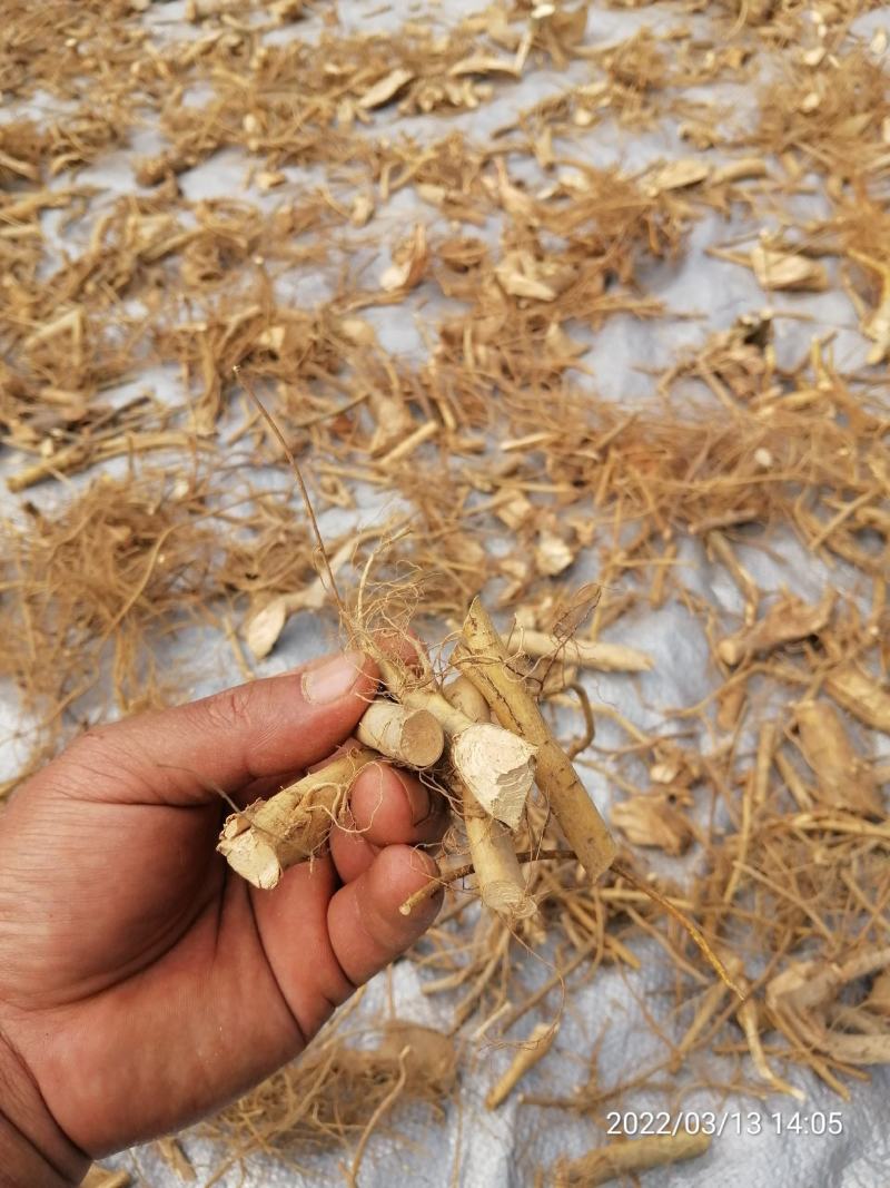 广东本地野生白花牛奶根干货（大量批发，大量批发）