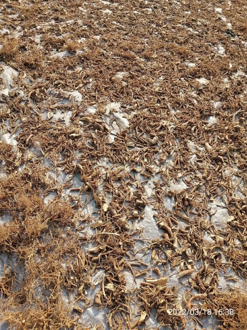 广东本地野生白花牛奶根干货（大量批发，大量批发）