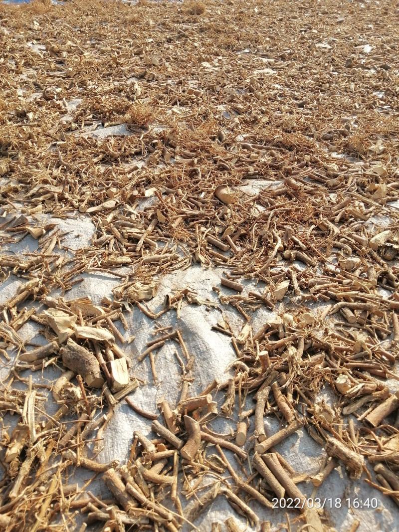 广东本地野生白花牛奶根干货（大量批发，大量批发）