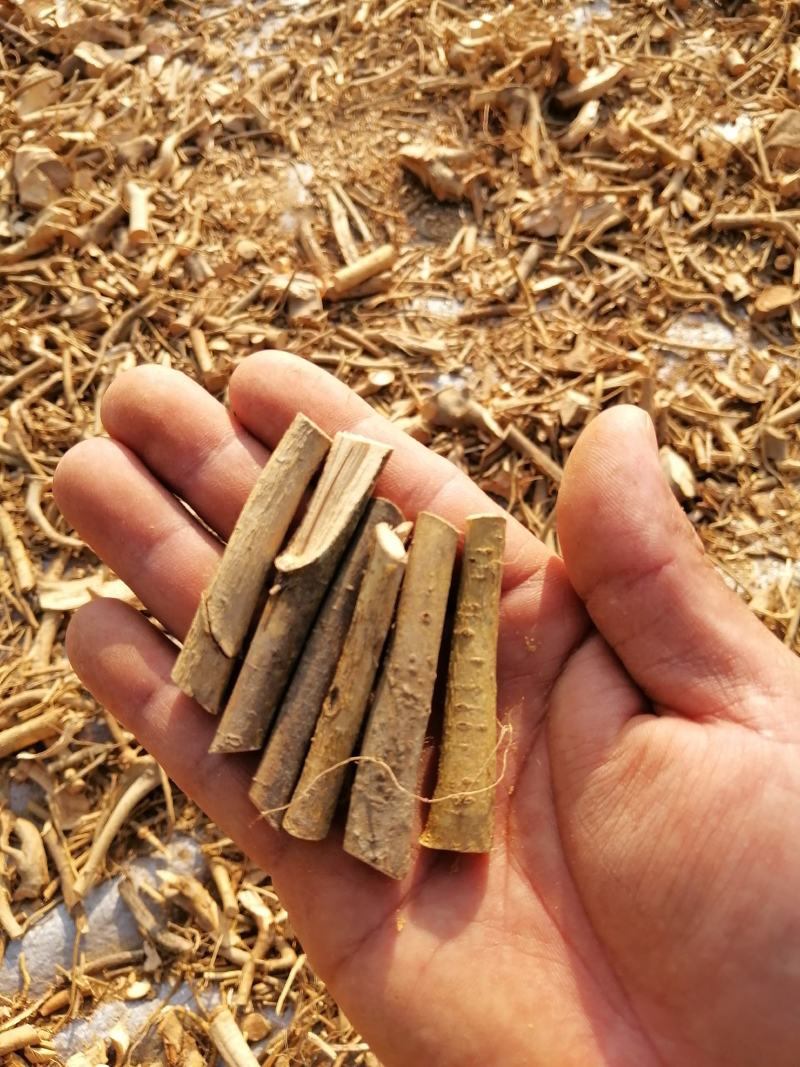 广东本地野生白花牛奶根干货（大量批发，大量批发）