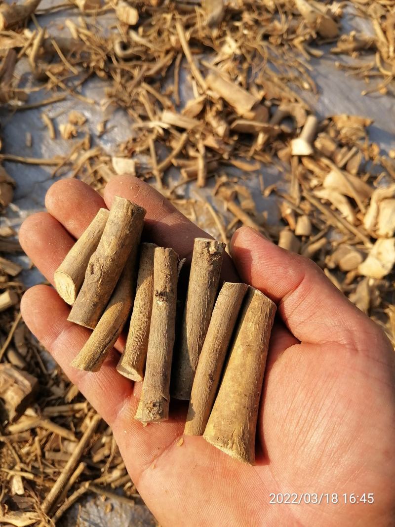 广东本地野生白花牛奶根干货（大量批发，大量批发）