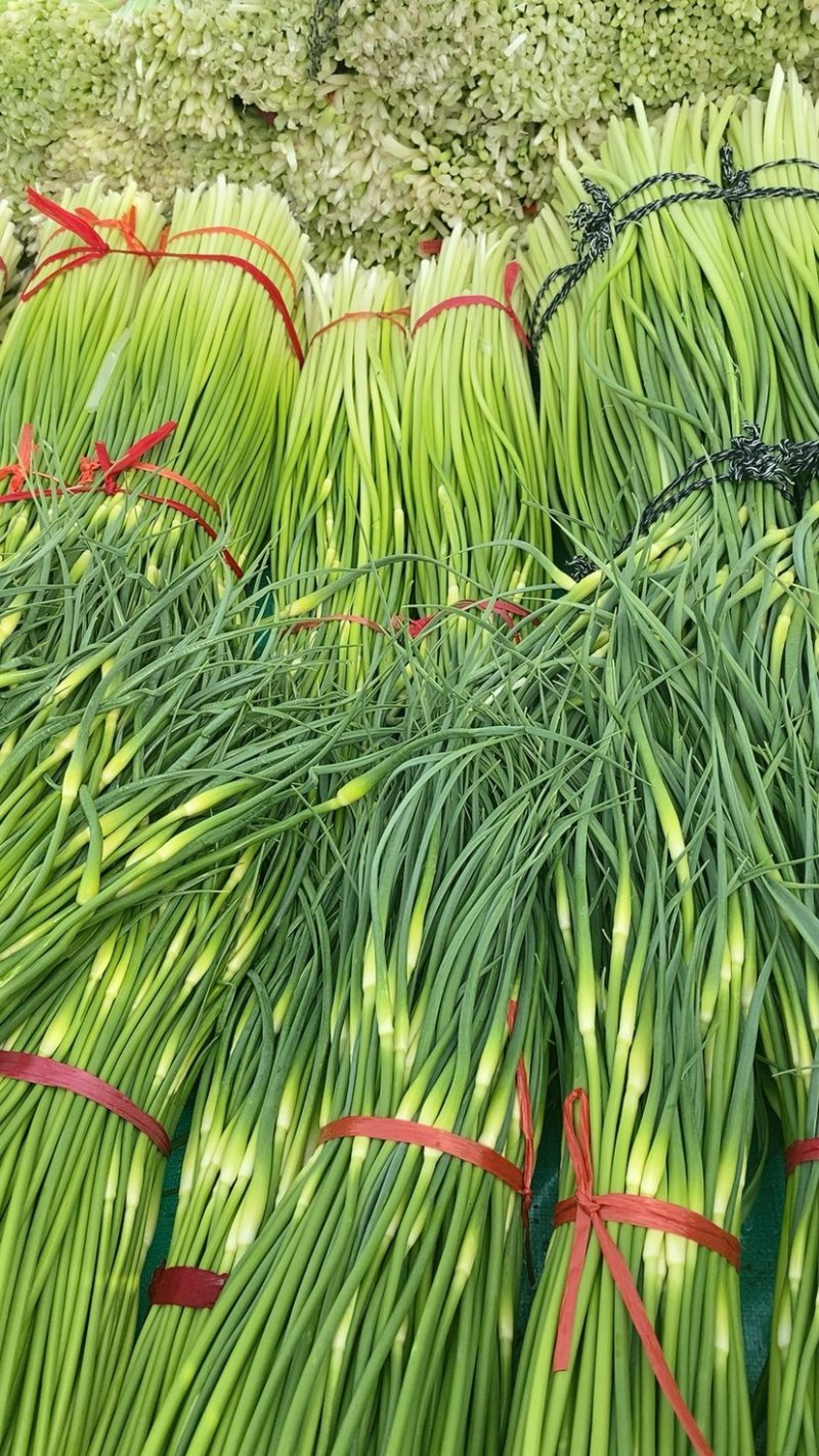 产地直发、白帽蒜苔大量上市、需要的客户请联系我