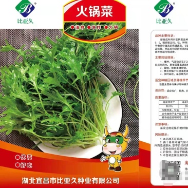 比亚久火锅菜，叶用羽衣快菜种子，营养丰富，大面积包回收