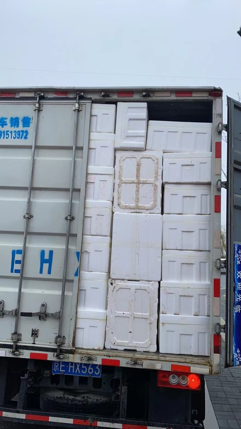 高品质豌豆尖陆续上货欢迎大家前来咨询