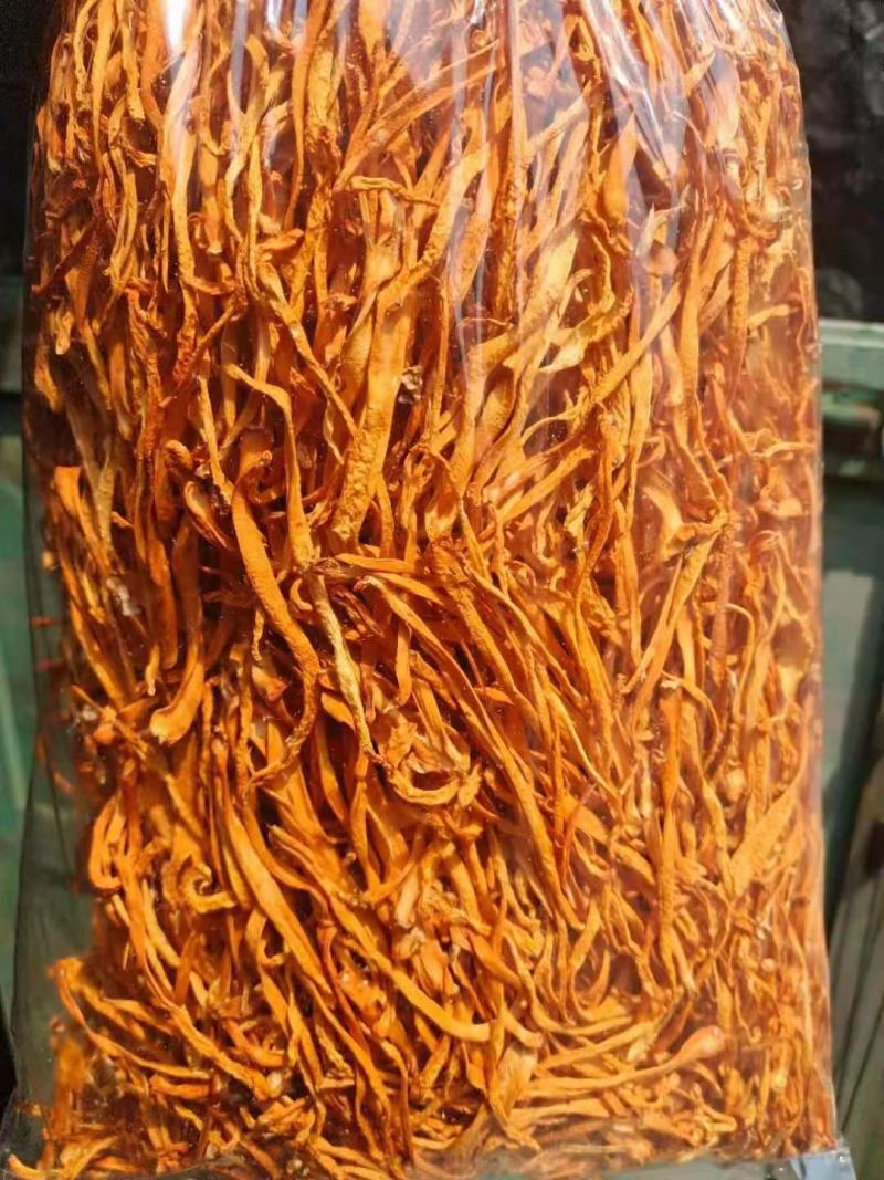 虫草花，颜色好，干度好，欢迎选购，支持少量发货