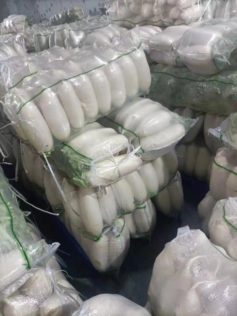 精品345排白萝卜产地直发大量有货